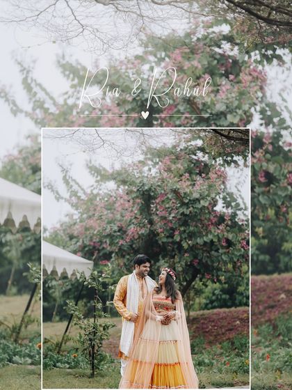 The Colors of Joy photo 27