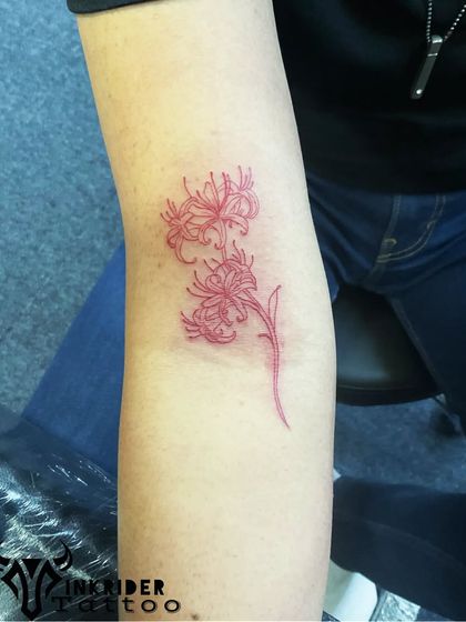 Nature & Animal Kingdom photo 35