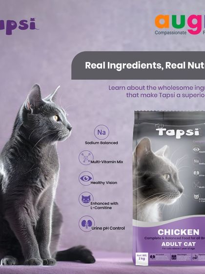Augie Pets - Pet Supplies For Our Feline Friends: Premium Cat Nutrition photo 31