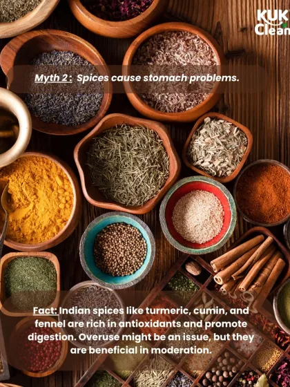 Myth: Spices cause stomach problems. Fact: Indian spices like turmeric, cumin, and fennel are actually rich in antioxidants and promote good digestion. Moderation is key, but they are beneficial for your health.