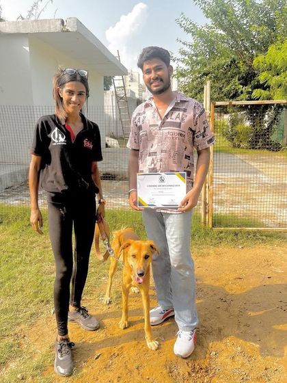 Tiger's graduation day. This case was close to our hearts, as he came to us with significant genetic behavioral issues. While we can't change genetics, we can provide the training and structure to manage these problems, allowing both the dog and owner to live a stable, happy life together.