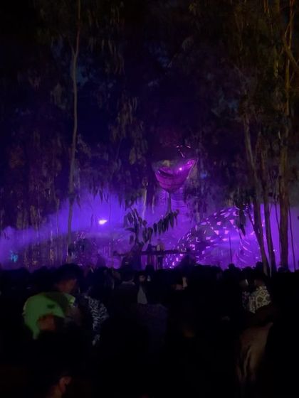 A duplicate of the Echoes of Earth purple stage shot.