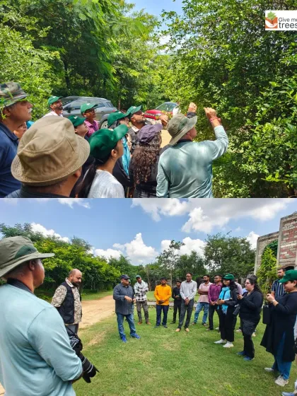 Our butterfly and dragonfly walks are a favorite, especially during peak season. We take you to spots where these pollinators are most active. It is a chance to get close, learn about their life cycles, and understand their vital role in the environment.