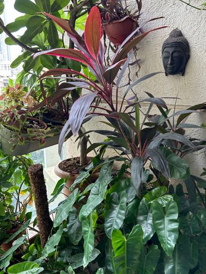 Indoor & Commercial Green Spaces photo 16