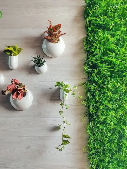 This design combines two popular trends: a maintenance-free preserved moss wall and elegant ceramic wall-mounted planters. This pairing adds a sophisticated, natural touch to any interior wall with minimal upkeep.