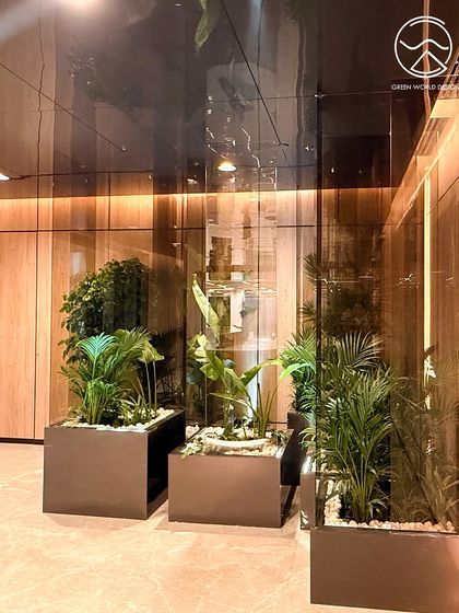 Another view of the planter arrangement in Hyderabad. The use of white pebbles as a top layer provides a clean, finished look that contrasts with the dark planters and rich green foliage.