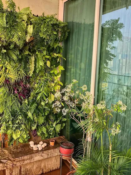 We transformed this high-rise balcony into a living wall of green. This vertical garden uses a mix of ferns, pothos, and other foliage to create a dense, tropical feel, proving that even compact urban spaces can become lush natural escapes.