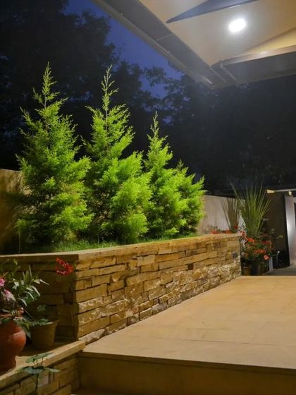 The outdoor patio area at night, featuring a raised planter with cypress trees. This space was designed as a tranquil escape, perfect for enjoying cool evenings.