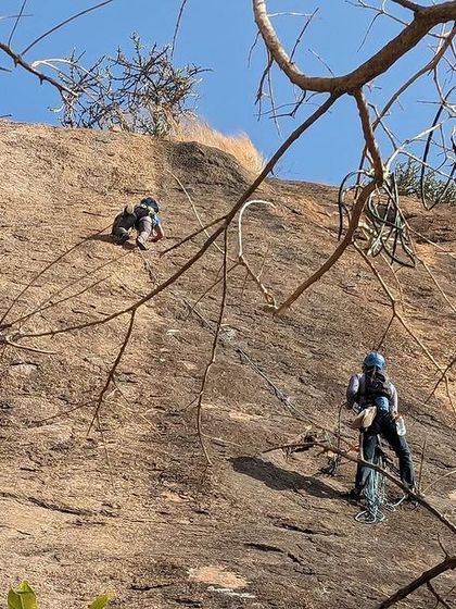 Two climbers rappelling down the face of Talai Betta, framed by the branches of a tree.