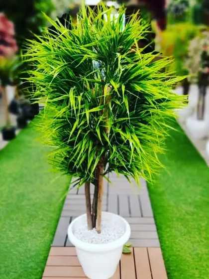 For those who want a green look without the work, I offer complete artificial landscaping solutions. This setup shows high-quality artificial grass with a clean walkway and a handmade artificial plant, perfect for balconies or office spaces where maintenance is difficult.