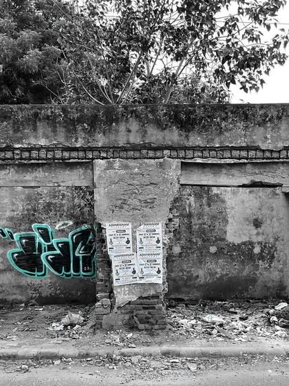 Yogi Graffiti - Custom Murals & Wall Art Pure Graffiti: Wildstyle & Crew Sessions photo 24