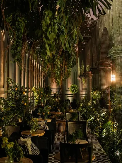 A long view of the seating gallery, showing how the combination of dark structures, greenery, and lighting created a truly unique environment.