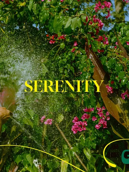 We take care of our garden with a lot of love. Seeing our plants being watered and thriving is a reminder of the life and serenity that fills this space.