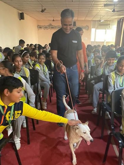 From Street to Sweet Home: Rescue Stories photo 7