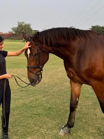 A quiet moment between a rider and her horse, Verdinand, after being selected for the Indian Team for the FEI Dressage World Challenge. This bond is at the heart of our philosophy.