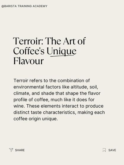 Just like with wine, terroir gives coffee its unique sense of place. Understanding this concept is key to appreciating specialty coffee.