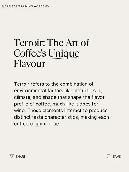 A text-based explanation of terroir, comparing it to the same concept in wine. It's what makes each coffee origin unique.