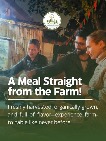 Our head farmer and chef discussing the day's harvest with guests. We believe a meal is more than just food; it's an opportunity to learn where your food comes from and connect with the process.