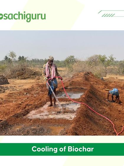 Cooling the biochar with water after the burn. This stabilizes the carbon and makes it ready to be harvested and mixed into the soil.
