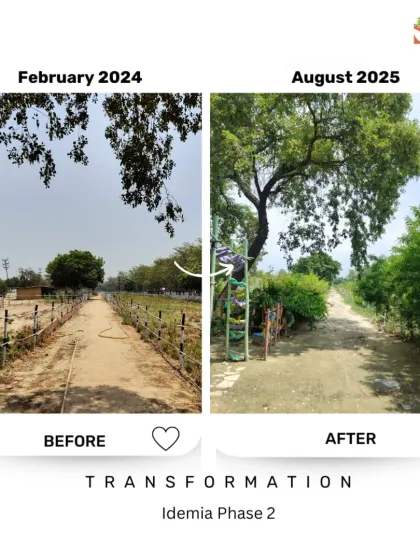 A simple dirt path at the Idemia site, once lined with a rope fence, is now a lush green walkway. The trees have matured, providing shade and creating a welcoming entrance to this growing urban forest.