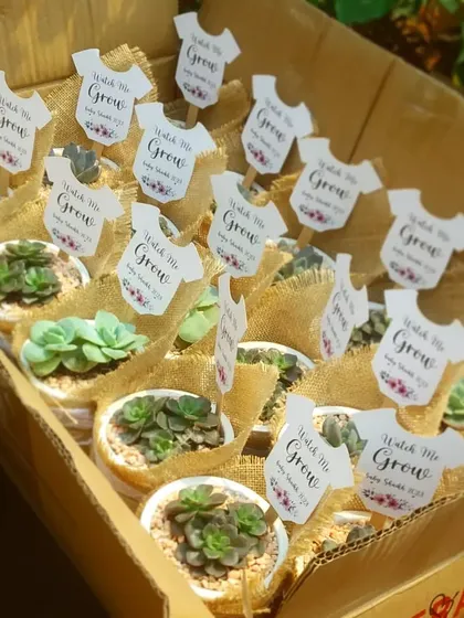 I love helping you celebrate special moments. Here’s a bulk order of succulent party favors for a baby shower, complete with custom "Watch Me Grow" tags and eco-friendly burlap wrapping.
