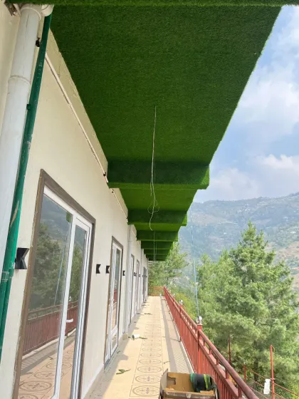Yes, I can even put grass on the ceiling! This was a unique project for a client in Himachal who wanted to bring the feeling of the outdoors inside. If you have a crazy idea, just tell me. Jo hukum mere maalik.