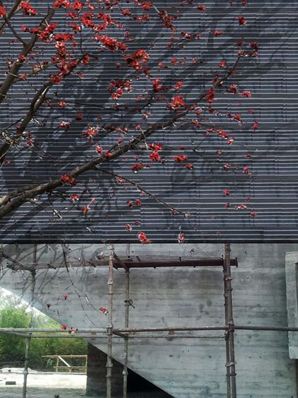 The Construction Process: Material and Form photo 30