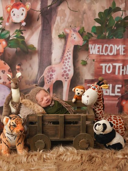 Fun & Creative Themes photo 29