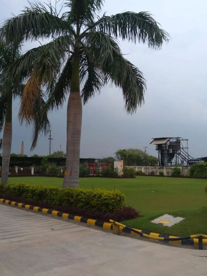 A view across the expansive lawn of a commercial facility, framed by a line of mature palm trees. We specialize in maintaining large turf areas to ensure they remain green and uniform.
