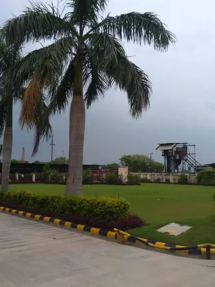 A view across the expansive lawn of a commercial facility, framed by a line of mature palm trees. We specialize in maintaining large turf areas to ensure they remain green and uniform.