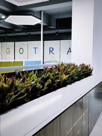 Plant Rental & Maintenance