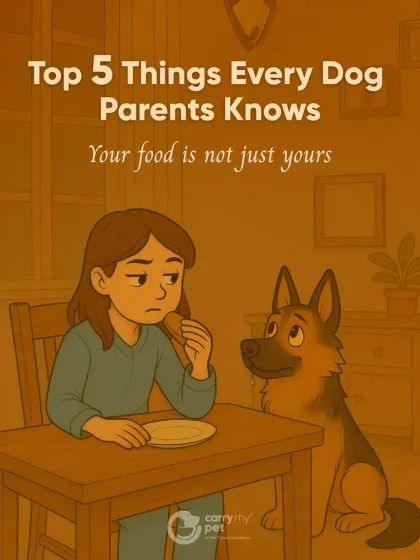 CarryMyPet - Pet Travel & Parenting Consultation The Heart of a Pet Parent photo 3