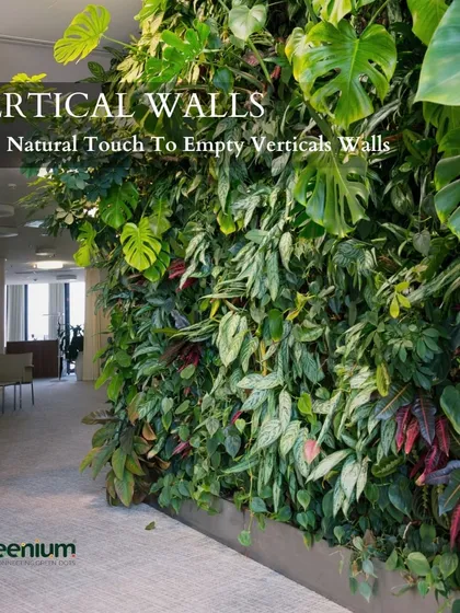 This dense, tropical living wall brings a natural touch to an indoor hallway. The large Monstera leaves and other varied foliage create a rich and immersive green experience.