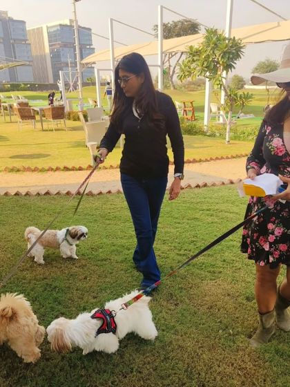 A Paw-fect Day Out photo 6