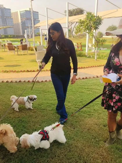 A casual stroll on the grass with the dogs. Our pet-friendly policy means no one in the family gets left behind.