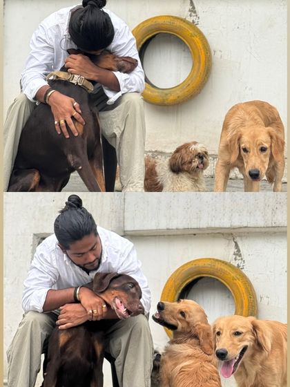 A collage of cute moments with our boarding kids. From a Doberman hug to happy Golden Retrievers, it's all about love.