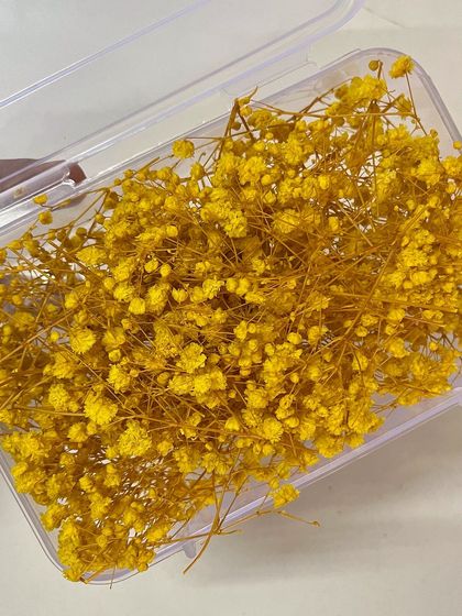 Bright and sunny yellow baby's breath to add a cheerful touch to your hairstyle.