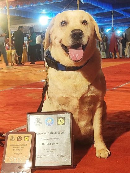 K9 Gurukul - Dog Training for Shows & Media Champions of the Show Ring photo 47