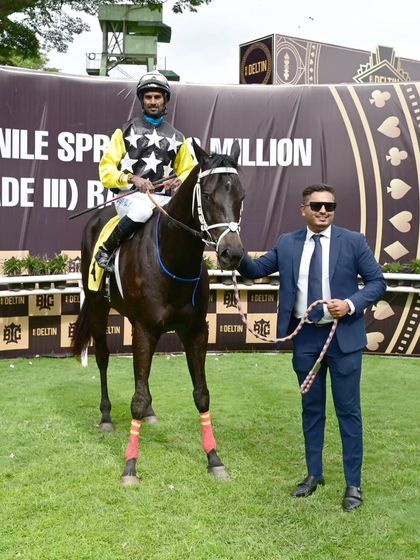 'Mayne Magic', a consistent champion, after winning The Managing Committee Gold Cup.