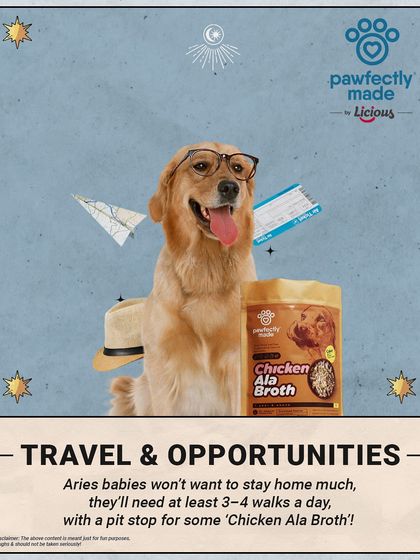 Travel & Opportunities for an Aries pet: They'll need at least 3-4 walks a day, with a mandatory pit stop for some Chicken Ala Broth!