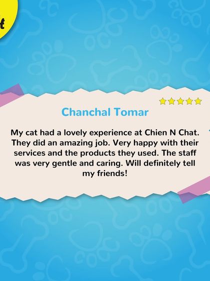 Chanchal's cat had a lovely experience, and she was very happy with our services and gentle staff. We love hearing such positive feedback.