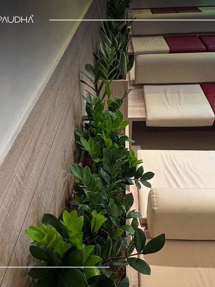 Paudha - Commercial Biophilic & Interior Design Wellness & Healthcare Spaces photo 5