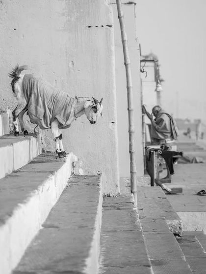 Kashi: Between Life and Liberation photo 38