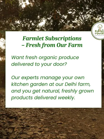 Our Farmlet subscription brings the farm to you. Our experts manage your personal kitchen garden at our Delhi farm, and you receive a weekly delivery of natural, freshly grown produce right at your doorstep.