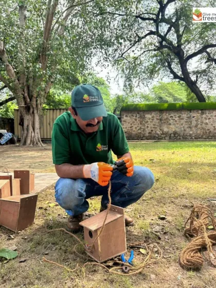 As part of our "Project Bring Back Sparrow," a team member prepares a nest box for installation. Providing safe nesting sites is a simple but effective way to encourage birds to return to urban areas.