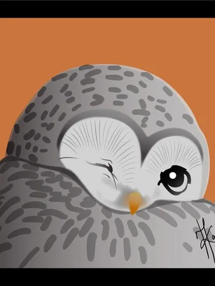 A cute, winking owl. This illustration is a simple reminder to do whatever makes your soul happy.