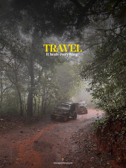 Travel heals everything. An off-road jeep ride through a misty, magical forest trail.