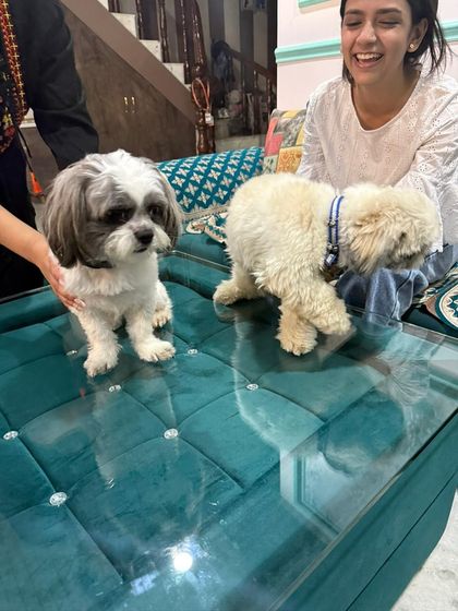 Happy Reunions & New Beginnings photo 10