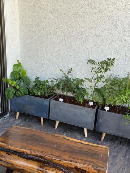 Edible Home Gardens photo 3