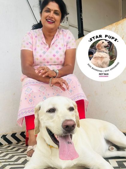 Star Pups - Pet Grooming Our Furry Friends & Family photo 43